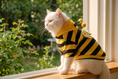Load image into Gallery viewer, White cat in the PAWSE bumblebee striped hoodie sitting on a sunlit windowsill, side profile, garden in background