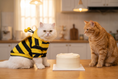Load image into Gallery viewer, White cat in the PAWSE bumblebee hoodie sitting at a kitchen counter beside a small birthday cake, with an orange tabby cat watching