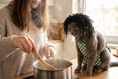 Load image into Gallery viewer, Barista Checkered Set — lifestyle photo