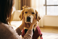 Load image into Gallery viewer, Burgundy Dog Tuxedo — lifestyle photo