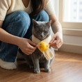 Load image into Gallery viewer, Duck Charm Scarf — lifestyle photo