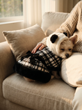 Load image into Gallery viewer, Panda Cape Dress — lifestyle photo
