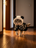 Load image into Gallery viewer, Panda Cape Dress — lifestyle photo