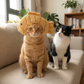 Load image into Gallery viewer, Taiyaki Fish Hood — lifestyle photo
