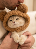 Load image into Gallery viewer, Teddy Bear Hood — lifestyle photo