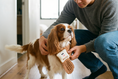 Load image into Gallery viewer, Toast Charm Scarf — lifestyle photo