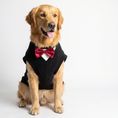 Load image into Gallery viewer, Golden Retriever sitting on a white studio background wearing the PAWSE black fleece dog tuxedo with wine-red bow tie and white shirt front
