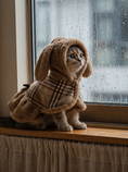 Load image into Gallery viewer, Bear Cape Dress — lifestyle photo
