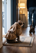 Load image into Gallery viewer, Bear Cape Dress — lifestyle photo
