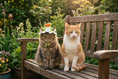 Load image into Gallery viewer, Bunny Carrot Crochet Set — lifestyle photo
