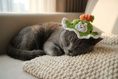 Load image into Gallery viewer, Bunny Carrot Crochet Set — lifestyle photo
