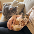 Load image into Gallery viewer, Capybara Comic Wrap — lifestyle photo
