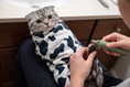 Load image into Gallery viewer, Cow Print Grooming Wrap — lifestyle photo
