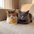 Load image into Gallery viewer, Duck Charm Scarf — lifestyle photo
