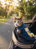 Load image into Gallery viewer, Giraffe Cat Tank — lifestyle photo
