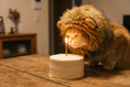 Load image into Gallery viewer, Lion Mane Hood — lifestyle photo
