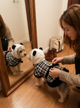 Load image into Gallery viewer, Panda Cape Dress — lifestyle photo
