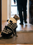 Load image into Gallery viewer, Panda Cape Dress — lifestyle photo

