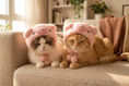 Load image into Gallery viewer, Piglet Costume Set — lifestyle photo
