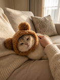Load image into Gallery viewer, Teddy Bear Hood — lifestyle photo
